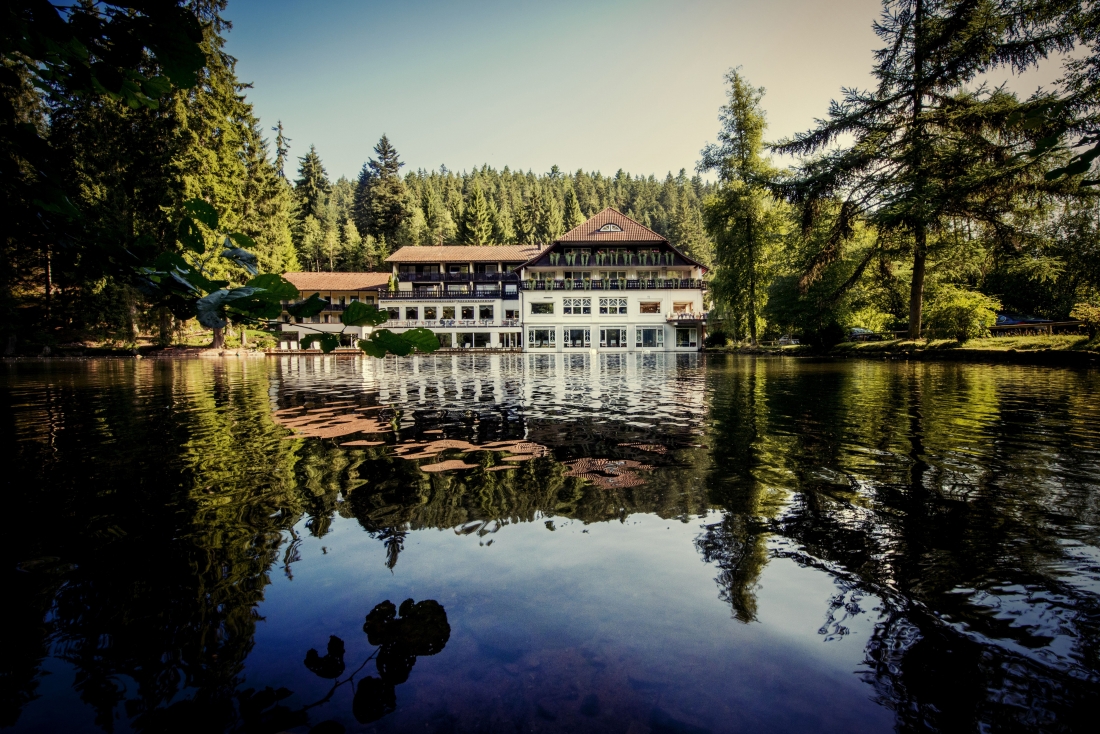 Hotel & Restaurant Langenwaldsee, Freudenstadt