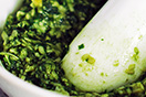 Fonds, Saucen, Pesto Fonds, Saucen, Pesto